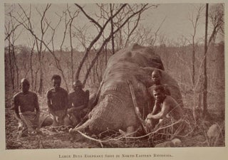 THE AFRICAN ELEPHANT AND ITS HUNTERS.
