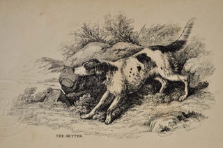 THE DOG AND THE SPORTSMAN. Embracing the Uses, Breeding, Training, Diseases, etc., etc., of Dogs, and an Account of the Different Kinds of Game, with Their Habits. Also, Hints to Shooters, with Various Useful Recipes, etc., etc.