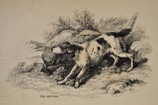 THE DOG AND THE SPORTSMAN. Embracing the Uses, Breeding, Training, Diseases, etc., etc., of Dogs, and an Account of the Different Kinds of Game, with Their Habits. Also, Hints to Shooters, with Various Useful Recipes, etc., etc.