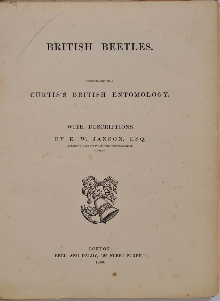 Item #006671 BRITISH BEETLES. Transferred from Curtis's British Entomology. With Descriptions by E. W. Janson. E. W. Janson.