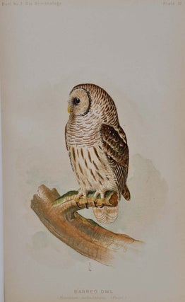 THE HAWKS AND OWLS OF THE UNITED STATES In Their Relation to Agriculture. U.S. Department of Agriculture. Division of Ornithology and Mammalogy. Bulletin No. 3. Signed by the author.