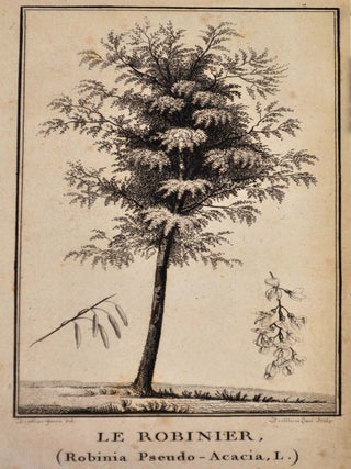 Lettre sur le Robinier, connu sous le nom impropre de faux acacia; avec plusieurs pieces relatives a la culture et aux usages de cet arbre; par N. Francois (de Neufchateau), membre du Senat Conservateur et de l'Institut National.