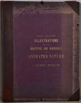 Item #011623 Hand-colored illustrations of the beautiful and wonderful in animated nature, with...