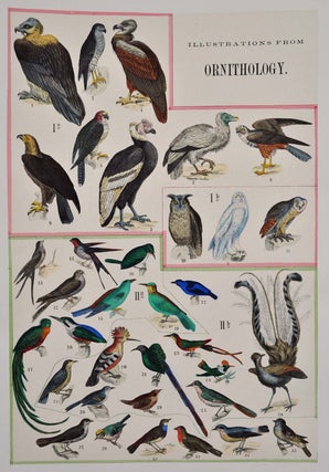 Hand-colored illustrations of the beautiful and wonderful in animated nature, with full explanatory text.