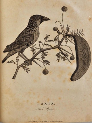 A NARRATIVE OF FOUR JOURNEYS INTO THE COUNTRY OF THE HOTTENTOTS AND CAFFRARIA in the Years 1777, 1778 and 1779. Illustrated with a Map, and Seventeen Copper-plates. First edition.