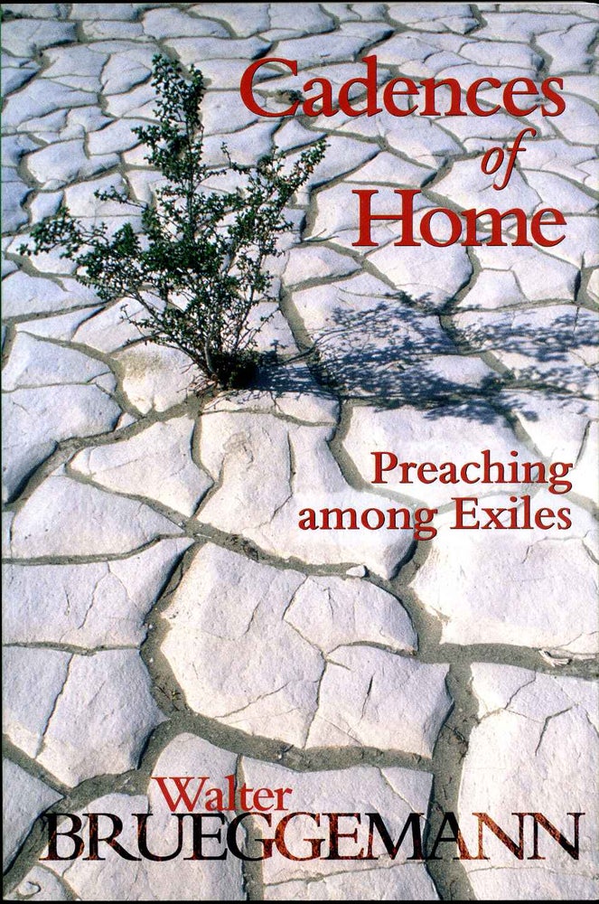 Item #013825 Cadences of Home: Preaching Among Exiles. Walter Brueggemann.