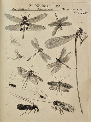 GENERA INSECTORUM LINNAEI ET FABRICII. Iconibus Illustrata a Joanne Jacobo Roemer.