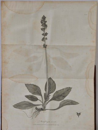 TRAVELS IN HUNGARY, With A Short Account of Vienna in the Year 1793.