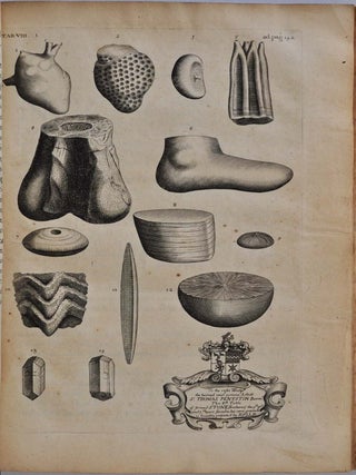 THE NATURAL HISTORY OF OXFORD-SHIRE, Being an Essay Toward the Natural History of England.