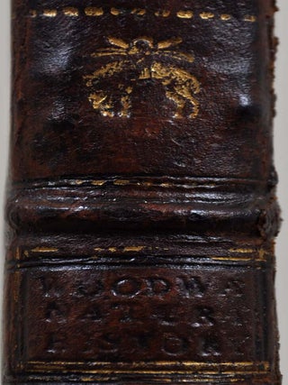 Item #019762 AN ESSAY TOWARD A NATURAL HISTORY OF THE EARTH: and Terrestrial Bodies, Especially...