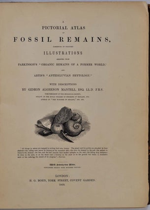 A PICTORIAL ATLAS OF FOSSIL REMAINS, Consisting of Coloured Illustrations Selected from Parkinson's ORGANIC REMAINS OF A FORMER WORLD, and Artis's ANTEDELUVIAN PHYTOLOGY.
