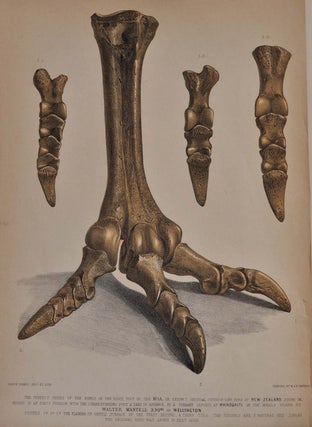 A PICTORIAL ATLAS OF FOSSIL REMAINS, Consisting of Coloured Illustrations Selected from Parkinson's ORGANIC REMAINS OF A FORMER WORLD, and Artis's ANTEDELUVIAN PHYTOLOGY.