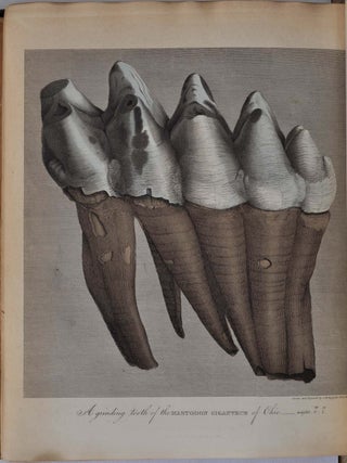 A PICTORIAL ATLAS OF FOSSIL REMAINS, Consisting of Coloured Illustrations Selected from Parkinson's ORGANIC REMAINS OF A FORMER WORLD, and Artis's ANTEDELUVIAN PHYTOLOGY.