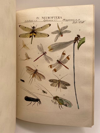 GENERA INSECTORUM LINNAEI ET FABRICII. Iconibus Illustrata a Joanne Jacobo Roemer.