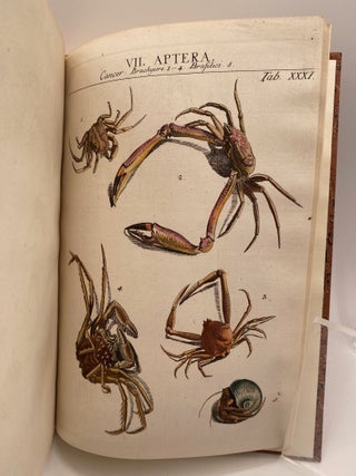 GENERA INSECTORUM LINNAEI ET FABRICII. Iconibus Illustrata a Joanne Jacobo Roemer.