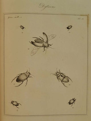 English Entomologist Exhibiting All the Coleopterous Insects found in England; including upwards of 500 different species, the figures of which have never before been given to the public the whole accurately drawn & painted after nature...Linnean System.