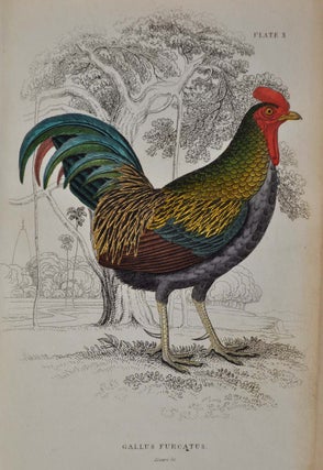 THE NATURALIST'S LIBRARY. ORNITHOLOGY. Vol. III. Gallinaceous Birds. The Natural History of Gallinaceous Birds. Illustrated by Thirty-two Plates, Coloured. With Memoir of Aristotle by Andrew Crichton