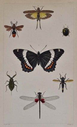 A TREATISE ON SOME OF THE INSECTS INJURIOUS TO VEGETATION. A New Edition, Enlarged and Improved, with Additions from the Author's Manuscripts and Original Notes. Illustrated by Engravings Drawn from Nature Under Supervision of Professor (Louis) Agassiz.