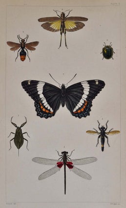 A TREATISE ON SOME OF THE INSECTS INJURIOUS TO VEGETATION. A New Edition, Enlarged and Improved, with Additions from the Author's Manuscripts and Original Notes. Illustrated by Engravings Drawn from Nature Under Supervision of Professor (Louis) Agassiz.