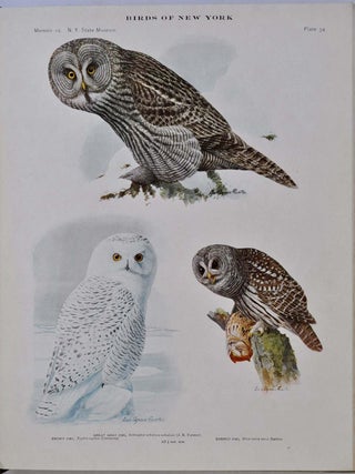 BIRDS OF NEW YORK. Two volume set.